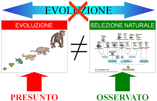 Evoluzione ed Adattamento